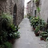 8 Centro storico medievale - Viterbo